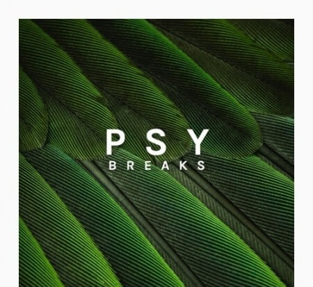 Zenhiser Psy Breaks WAV MiDi